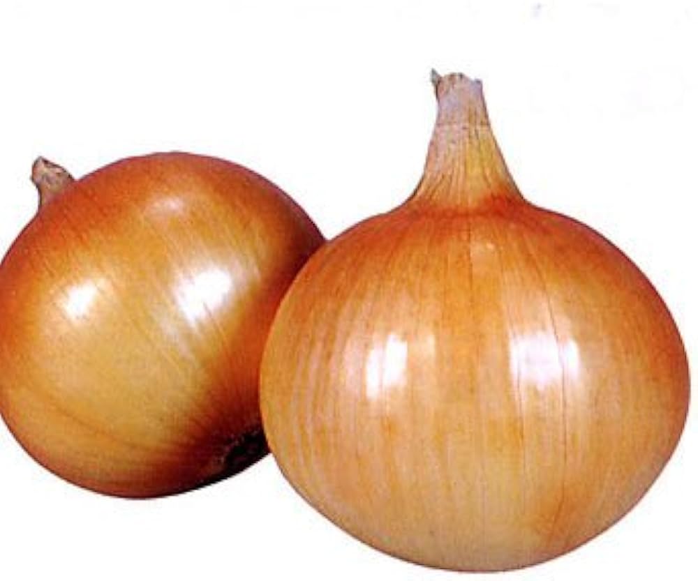 Amazon.co.jp: タマネギ 種子 ネオアース 中晩生種 玉ねぎ (2.2