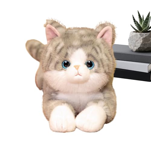 �L�̕������v���b�V�� | 50cm �������p�� �h�[�� �{�f�B�s���[ �������� - �_�炩���Q���ׂ�|�[�Y�̂��킢���L�̂ʂ������,�q���E���̎q�̒a�����E��l�̃X�g���X�����E�E��E�ƒ�E�ԓ��E���Q���ԁE�����⏕�p