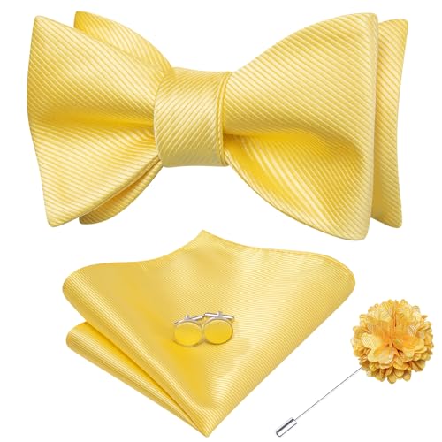 Image of Dubulle Self Tie Bow Ties and Lapel Pin for Men Paisley Solid Mens Bowtie and Handkerchief Cufflinks Set Wedding