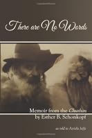 There are No Words: Memoir from the Churban 0976723328 Book Cover