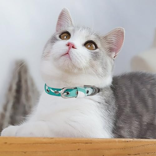 Collier réglable chat et chien de petite taille pour éviter les irritations - 4
