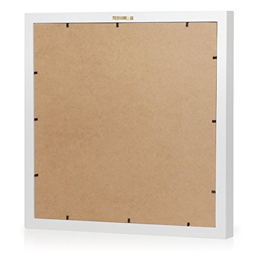 Green Frog Upgraded Shadow Box Frame 16 X 16 Inch with Butterfly Inner Display Board