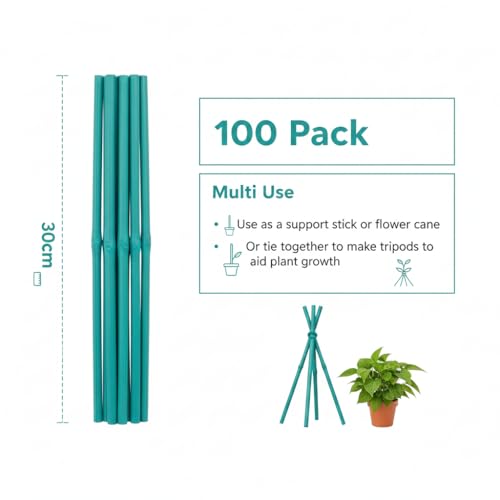 Plant Support Sticks - 100 pack 30cm Bamboo - Weather Resistant Canes For Flowers - 12 Inch Wooden Canes for Home or Garden - Great for Making Gardening tripods