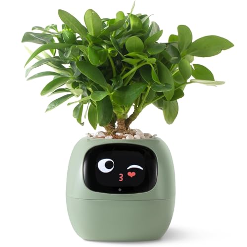 PLANTSIO Ivy Smart Planter