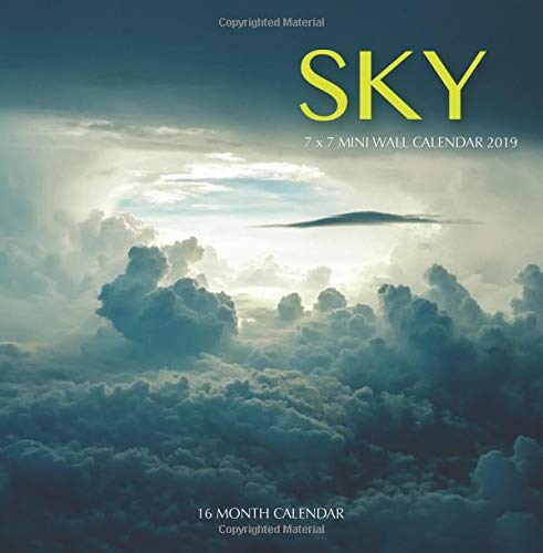 Preisvergleich Produktbild Sky 7 x 7 Mini Wall Calendar 2019: 16 Month Calendar