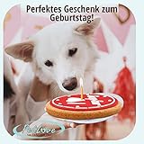 PetLove Hundetorte I Love My Dog (90g) • Geburtstagstorte für Hunde • Geschenk für Hunde • Geburtstagskuchen Hund • Handgemacht in Italien