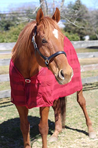 TuffRider Scrim Sheet - Image 3