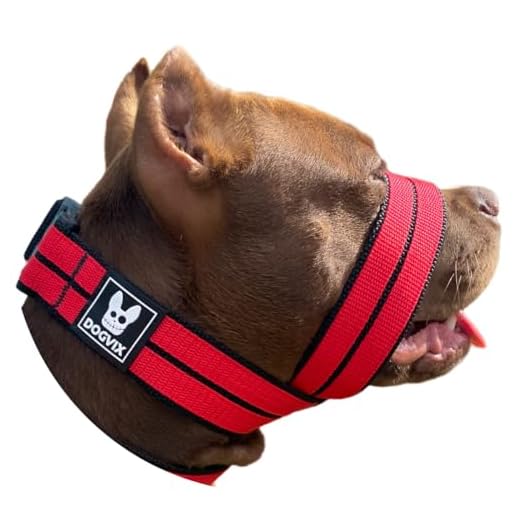 Focinheira Pet Confortável Segura Para Passear Com Cachorro Regulável (M)