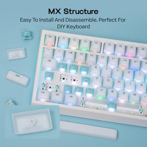 Image of EPOMAKER AegisSil Custom Keyboard Keycaps Set, Silicone Material, Cherry Profile, 113 Keys, 65% /75% /96% /Full Size for Cherry MX, Kailh, Outemu , Gateron Mechanical Gaming Keyboard (White)
