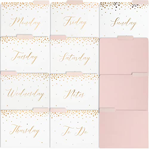 Paper Junkie 12-Pack Decorative File Folders, Daily, 9 x 11.5 Inches