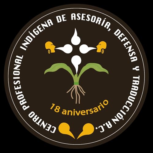 Couverture de Nuestros Pueblos...Nuestros Derechos