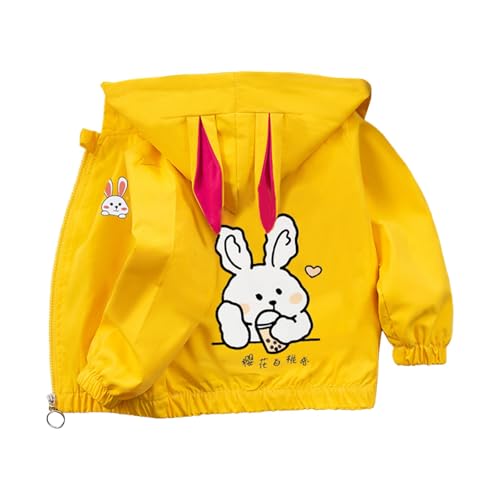 Kids Girls Lightweight Waterproof Jacket Long Sleeve Full Zip Up Hoodie Boys Cute Print Coat Windproof Jackets Clothes
