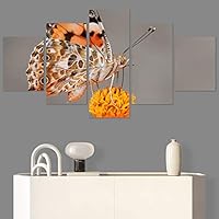 SIGNWIN 5 Panel Canvas Wall Art Birds Butterfly Closeup Colorful Contemporary Home Office Modern Art Multicolor Photography for Home Decorations Ready to Hang - 60