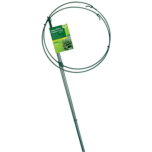 Gardman R750 Double Hoop Plant Support Ring, 16" Wide x 36" High, 3 Legs