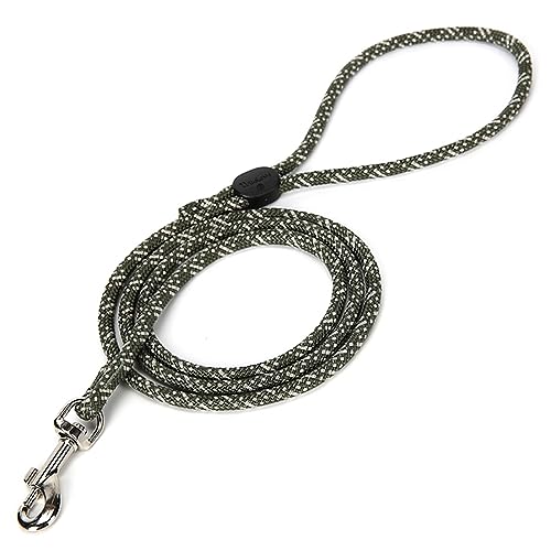 J&C Paradise nYt[[h {KX nhߕt ֗ y  V^ ^ ^ 1.2 p[h TRUELOVE (M, A[~[O[)