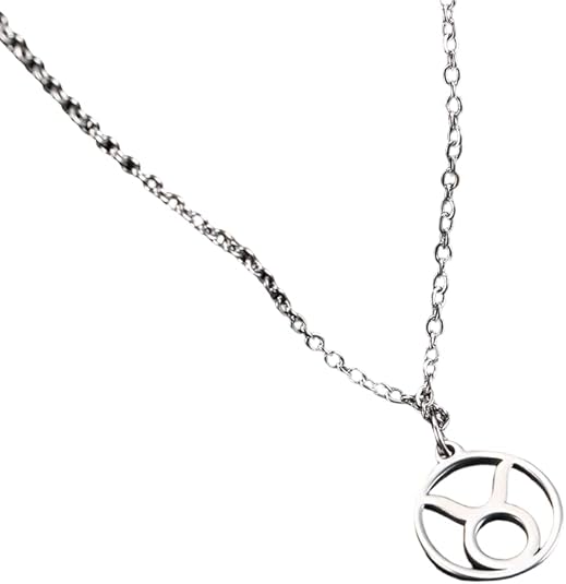 Stainless Steel Aries Zodiac Sign Pendant Necklace, Astrology Ram Symbol Charm for Men and Women