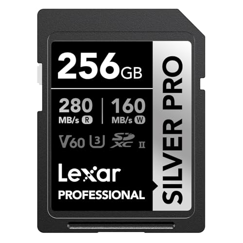 SDカード　256gb v60 SDメモリーカード 256gb v60」の人気商品一覧 | 安い商品を通販