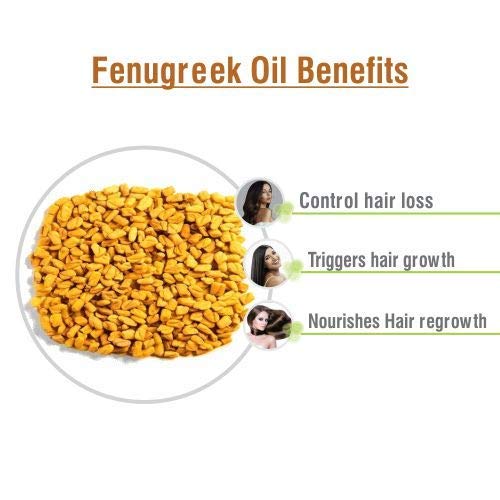 Image of B-Urban Fenugreek Oil Cosmetic Grade - 50 ml - Herbal Seed Oil for Skin Hair Scalp Massage Blends & DIY Beauty Formulations