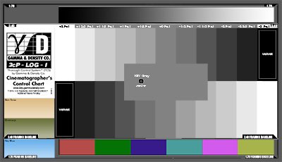 Gamma & Density Log Chart System