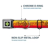 Buckle-Down Obroża dla psa klamra pasa bezpieczeństwa Scooby Doo Script Sd Icon Stripe żółty pomarańczowy czerwony brązowy 45 do 80 cm szerokości 3 cm