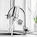 iSpring DF2-CHR Faucet Water Filter for Kitchen, Bathroom, or RV Sink, 500 Gallons Long Life, Chrome Finish