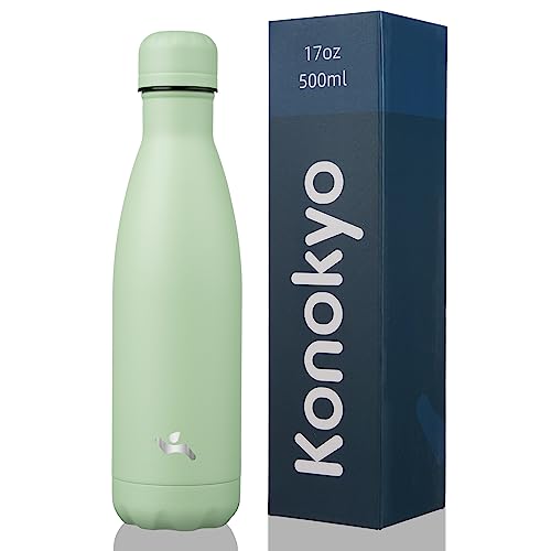 Insulated 17 oz Stainless Steel Water Bottle