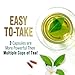 Green Tea Extract Pills 1000mg with EGCG for Heart Support with Antioxidants - 98% Standardized Polyphenols - 3X Absorption Green Tea Capsules for Natural Energy, Gentle Caffeine - 240 Capsules