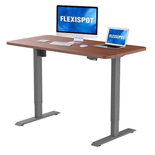 FlexiSpot EN1S-R5528N Electric Height Adjustable Desk, 55 x 28 Inches, Home Office Sit
