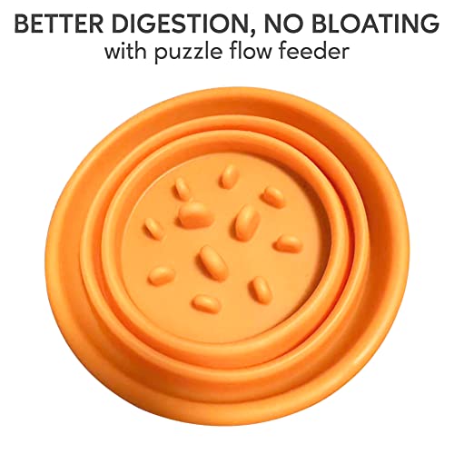 Dog Travel Water Bottle Collapsible Bowls, 2 In 1 Slow Feeder Portable Pet Feeder Food Container And Drinking Collapse Dog Bowl Carrier For Hiking Traveling Walking Camping #TOP4