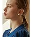 Crystal Four Leaf Clover Labret Cartilage Studs Earrings for Women Men Unisex 361L Surgical Stainless Steel Love Heart Monroe Lip Rings Tragus Helix Stud Earring Fashion Medusa Piercing Jewelry Gifts 16G (Gold)