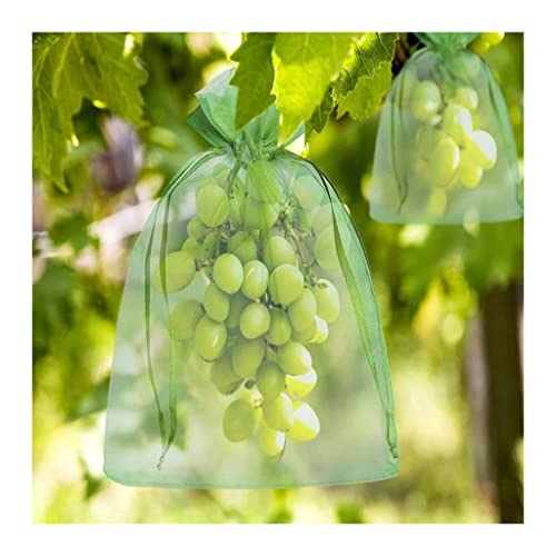 YTBHSHXZ， 50 Bolsas Protectoras for Uvas, for Fresas, lichis, Cerezas y Otras Frutas.