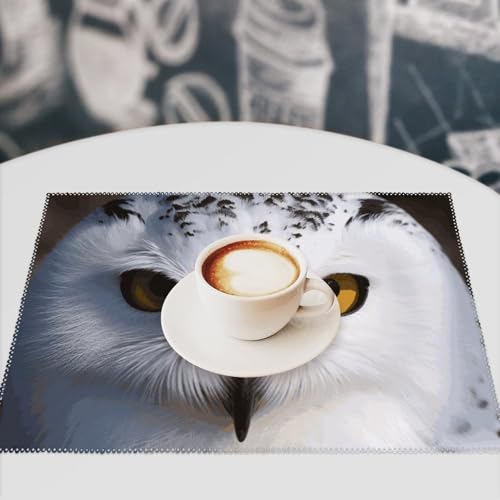 Sets de table anti-tache hibou enneigé protection table de cuisine - 8