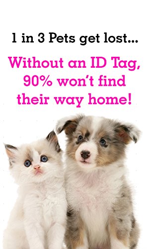 Dogline Personalized Service Dog in Training ID Custom Identification Card for Service Animal in Training Badge - Red (Without Hologram)