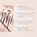 BK BEAUTY - PRECISION BRUSH COLLECTION (5PC) - Professional Makeup Brush Set for Bronzer, Blush, Contour, Powder & Eye Makeup | Premium Face Brushes for Flawless Application