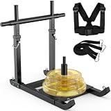 GanFindX Workout Weight Sled