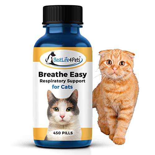 Amazon Best Sellers Best NonPrescription Cat Medications