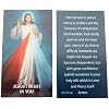 Westmon Works Divine Mercy Holy Card Bulk Pack Wallet Sized with Prayer on Back USA Made, Set of 10