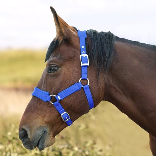 NIUTRIP Horse Halter with Wool Lining, Adjustable Halter for Horses Satin Hardware to Prevent Friction, Breakaway Halters for Horses,Fits Pony, Yearling, Draft Horses (Blue, L)