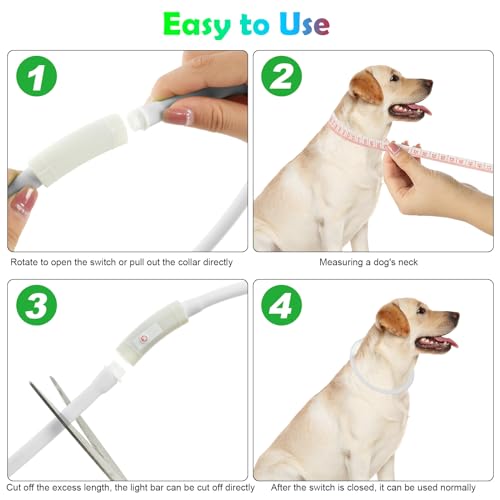 AUAUY LED Leuchthalsband Hund, USB Aufladbar Längenverstellbarer Haustier Sicherheit Silikon Kragen Zuschneidbares Wasserdicht Leuchthalsband für Hunde und Katzen, 4 Modus (Bunt)