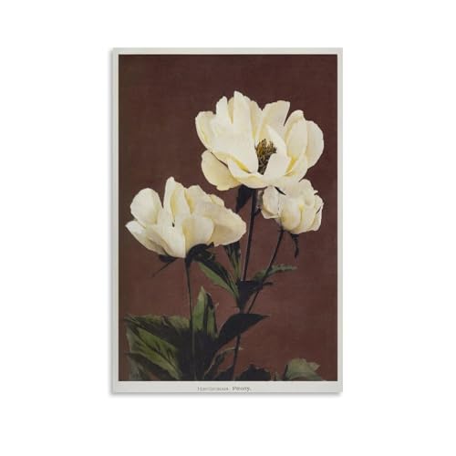 Hardaceous Peony Flowers (1896) by Kazumasa Ogawa Canvas Poster�L�����o�X�A�ǃA�[�g�A�C���e���A���w�A�ƁA���A�V���ւ̑��蕨08x12inch(20x30cm) Unframe-style