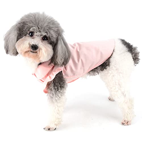 Zunea Maglietta per Cani Piccola Taglia Estive