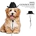 PRETYZOOM 5pcs Adjustable Pet Hats for Dogs and Cats Lightweight Party Headwear Stylish Dog Costume Accessories for Birthdays Christmas and Photoshoots