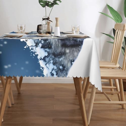 Nappe léopard de neige 137x183 cm rectangulaire imperméable et lavable pour table de jardin