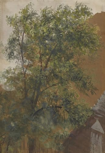 Vue depuis la fenêtre de la cour Adolph Menzel pour une ambiance atelier