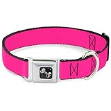 Buckle-Down Dog Collar Seatbelt Buckle Hot Pink 18 to 32 Inches 1.5 Inch Wide, Multicolor, DC-W30838-WL