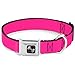Buckle-Down Dog Collar Seatbelt Buckle Hot Pink 13 to 18 Inches 1.5 Inch Wide, Multicolor, DC-W30838-WS