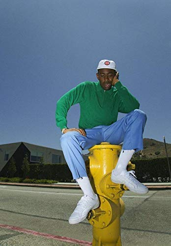 Speaking Thought Tyler, The Creator, Tyler Gregory Okonma, an American Rapper, Music Video Director 12 x 16 inch Poster……