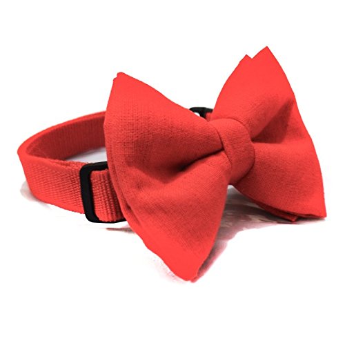 See full amazon price history chart for That Dog In Tuxedo Sunset Red Solid Colour Dog Bow Tie (Size S) That Dog In Tuxedo Sunset Red Solid Colour Dog Bow Tie (Size S) (B07589Q641) Amazon Price History, Amazon Price Tracker