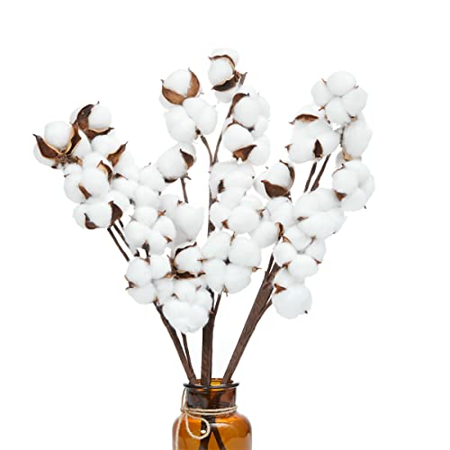 Ruiuzioong Fleurs Sechees Naturelles Coton Tige Naturelles Coton Branche Artificielle Coton Fausses Plantes Décoration Balcon Maison Table Composition Florale sans Vase (3 Pcs Steams) Cover