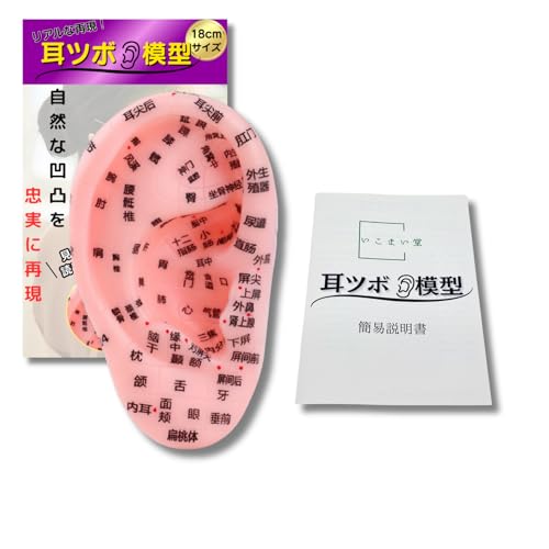 耳ツボ 模型 耳つぼ 耳つぼシール 簡易説明書付き ジュエリー 耳ツボシール 耳 スティック 耳つぼ模型 立体模型 (18cm)